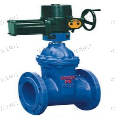 電動(dòng)彈性座封閘閥Z945X-16Q